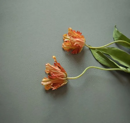 Обои Loymina Russian Classic Ru10, 006 в Саратове