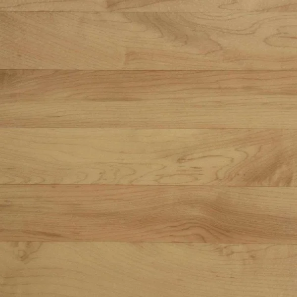 Спортивный линолеум Tarkett Omnisports Action 65 Cold Beech в Саратове