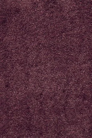 Ковровое покрытие AW Fedone 19 - (5м) в Саратове