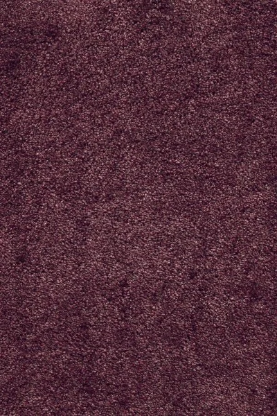 Ковровое покрытие AW Fedone 19 - (5м) в Саратове