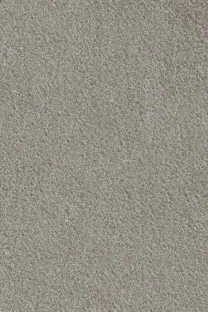 Ковровое покрытие AW Messalina 9 - (5м) в Саратове