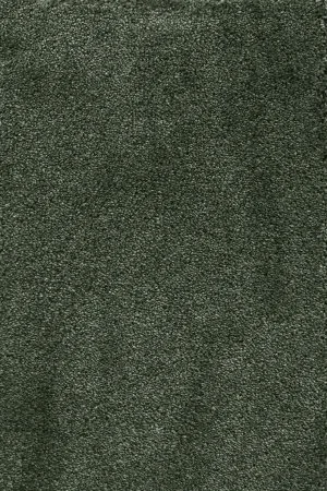 Ковровое покрытие AW Fedone 24 - (5м) в Саратове