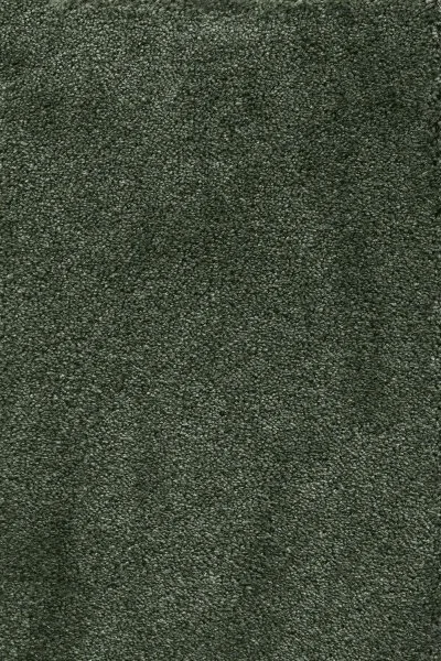 Ковровое покрытие AW Fedone 24 - (5м) в Саратове