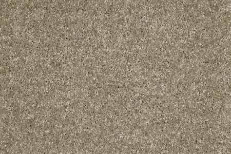 Ковровое покрытие AW Gala 33 - (5м) в Саратове