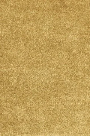 Ковровое покрытие AW Omphale 54 - (5м) в Саратове