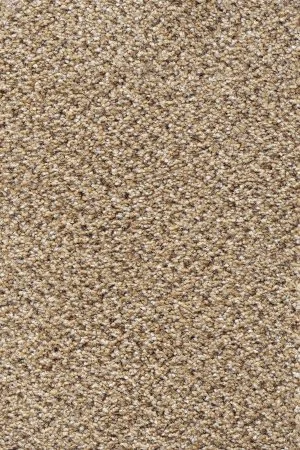 Ковровое покрытие AW Stainaway Tweed 50 - (4м) в Саратове