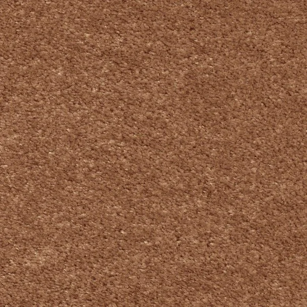 Ковровое покрытие AW Euphoria 84 - (5м) в Саратове