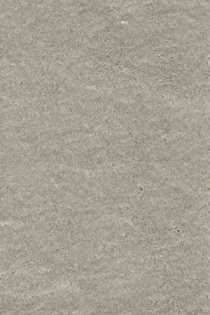 Ковровое покрытие AW Fedone 90 - (5м) в Саратове