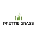 Искусственная трава Prettie Grass в Саратове