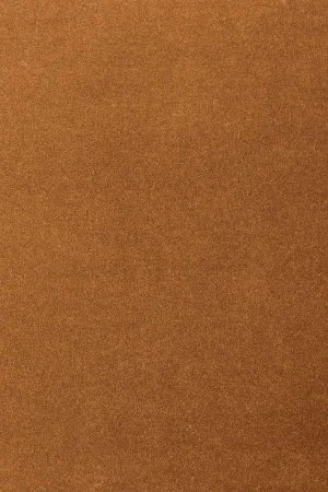 Ковровое покрытие AW Oinone 84 - (4м) в Саратове