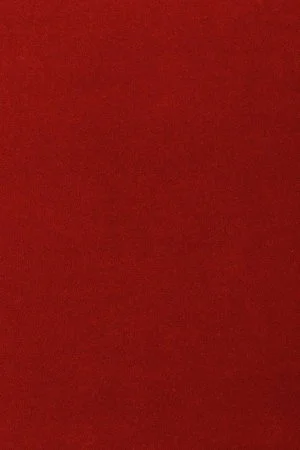 Ковровое покрытие AW Oinone 10 - (5м) в Саратове