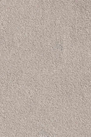 Ковровое покрытие AW Messalina 37 - (4м) в Саратове