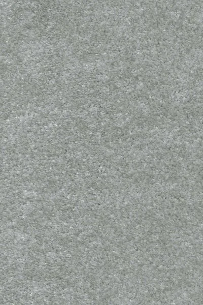 Ковровое покрытие AW Euphoria 75 - (5м) в Саратове