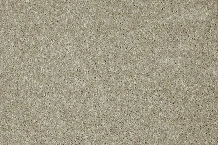 Ковровое покрытие AW Gala 03 - (5м) в Саратове