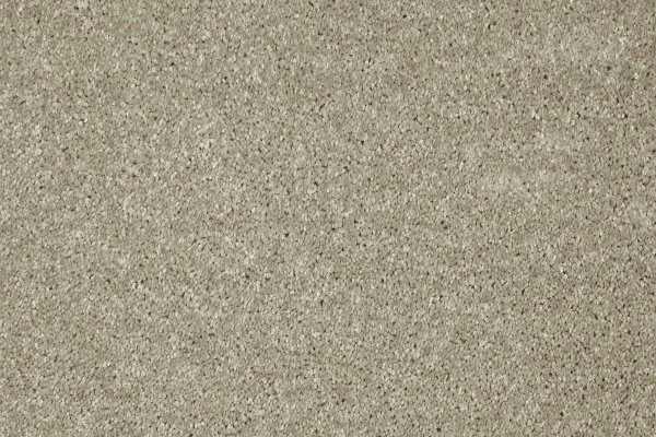 Ковровое покрытие AW Gala 03 - (4м) в Саратове