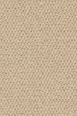 Ковровое покрытие AW Skye 03 - (4м) в Саратове