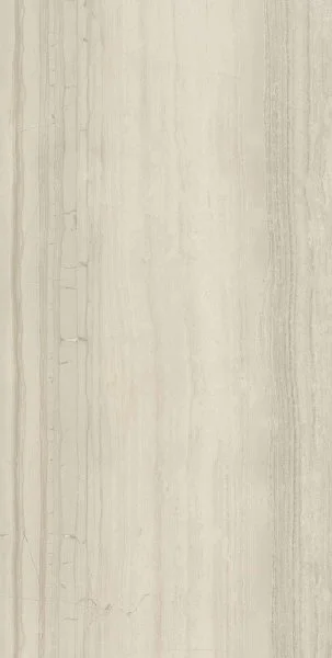 Керамогранит Italon Шарм Эдванс Силк Грэй 60х120 (Патиннированная и реттифицированная) в Саратове