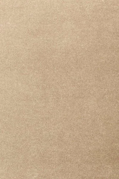 Ковровое покрытие AW Oinone 36 - (4м) в Саратове