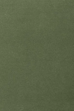 Ковровое покрытие AW Oinone 24 - (5м) в Саратове