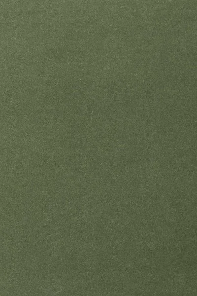 Ковровое покрытие AW Oinone 24 - (4м) в Саратове