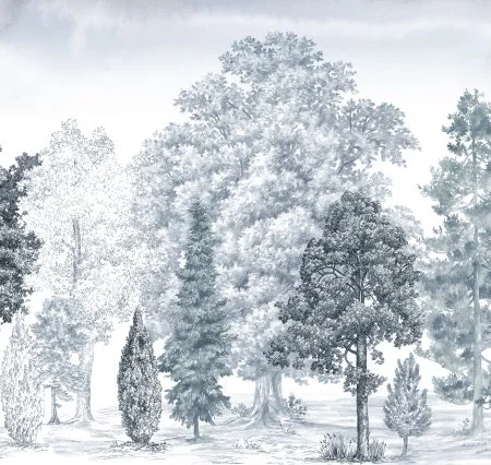 Обои Loymina Пейзаж vol. 2 ART14 006 в Саратове