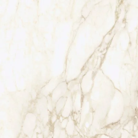 Керамогранит Coliseum Микеланджело Ворм 60х60 (Натуральный и Реттифицированный) в Саратове