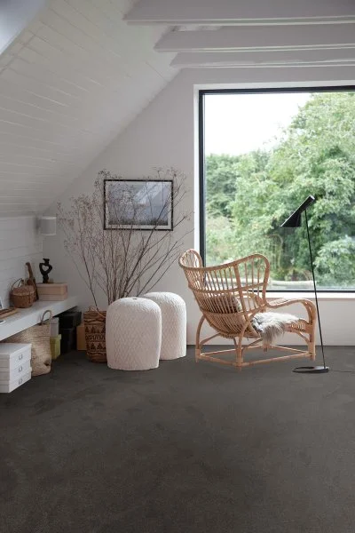 Ковровое покрытие AW Ganges 99 - (4м) в Саратове