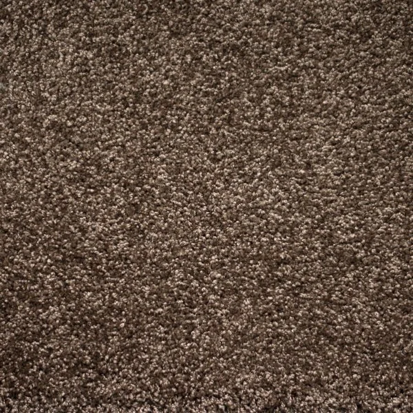 Ковровое покрытие Zartex Tesoro 156 Коричневый - 4 м в Саратове