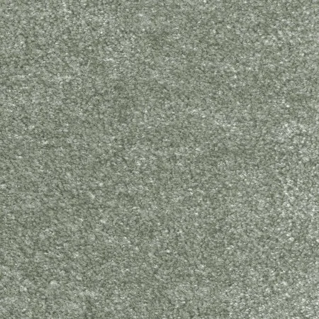 Ковровое покрытие AW Euphoria 28 - (4м) в Саратове