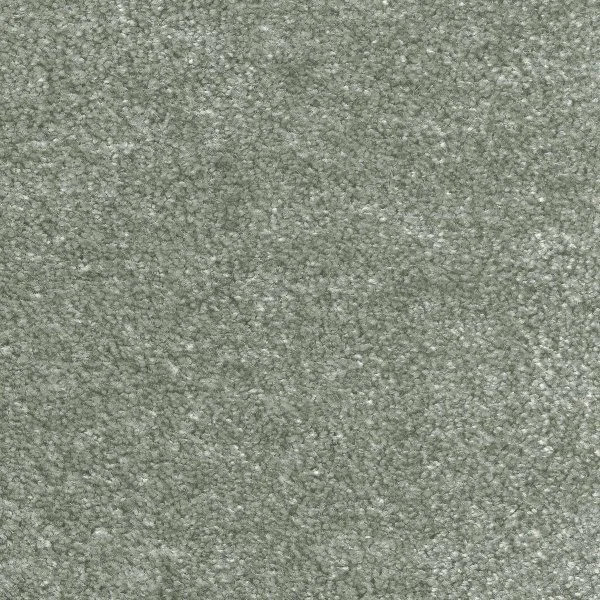 Ковровое покрытие AW Euphoria 28 - (5м) в Саратове