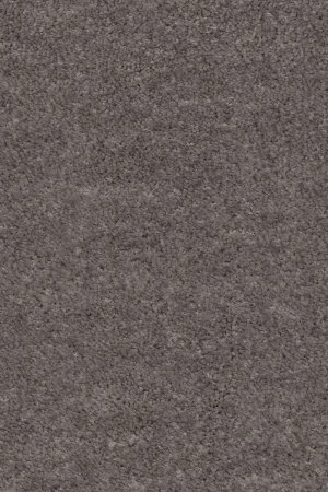 Ковровое покрытие AW Euphoria 45 - (5м) в Саратове