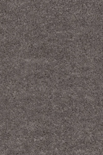 Ковровое покрытие AW Euphoria 45 - (4м) в Саратове