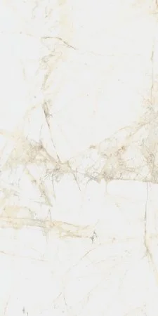 Керамогранит Coliseum Канова Уайт 60х120 (Натуральный и Реттифицированный) в Саратове