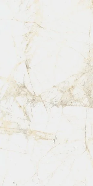 Керамогранит Coliseum Канова Уайт 60х120 (Натуральный и Реттифицированный) в Саратове