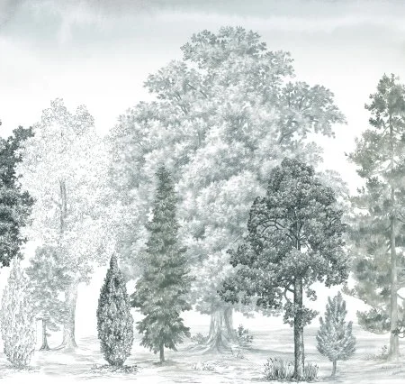 Обои Loymina Пейзаж vol. 2 ART14 011 в Саратове