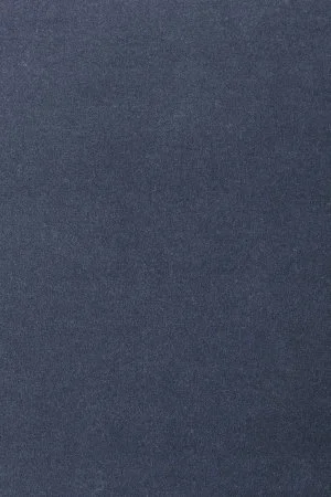 Ковровое покрытие AW Oinone 78 - (5м) в Саратове