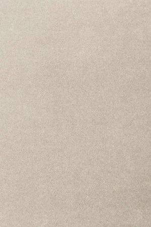 Ковровое покрытие AW Oinone 39 - (5м) в Саратове