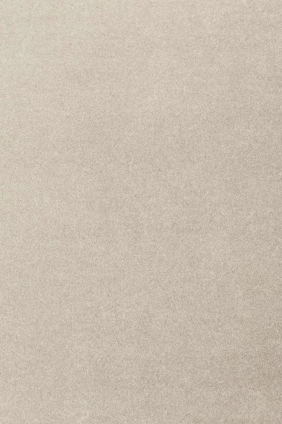 Ковровое покрытие AW Oinone 39 - (4м) в Саратове