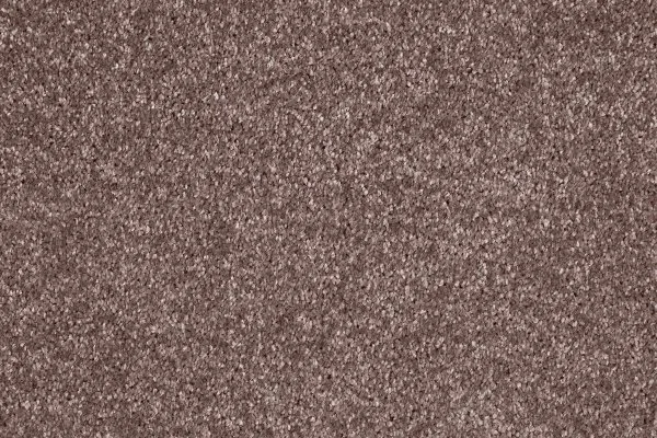 Ковровое покрытие AW Gala 60 - (5м) в Саратове